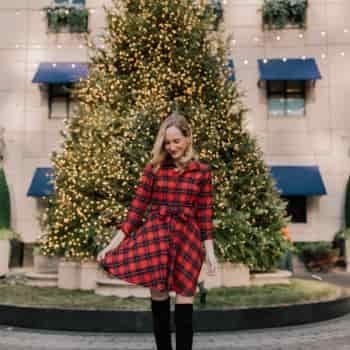 A Holiday Outing