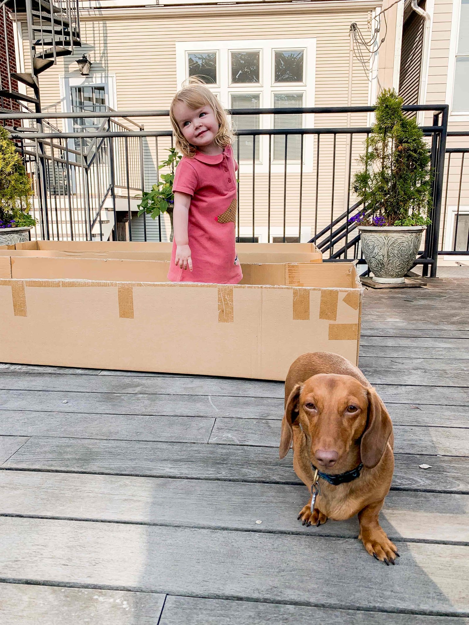 Toddler and her dog