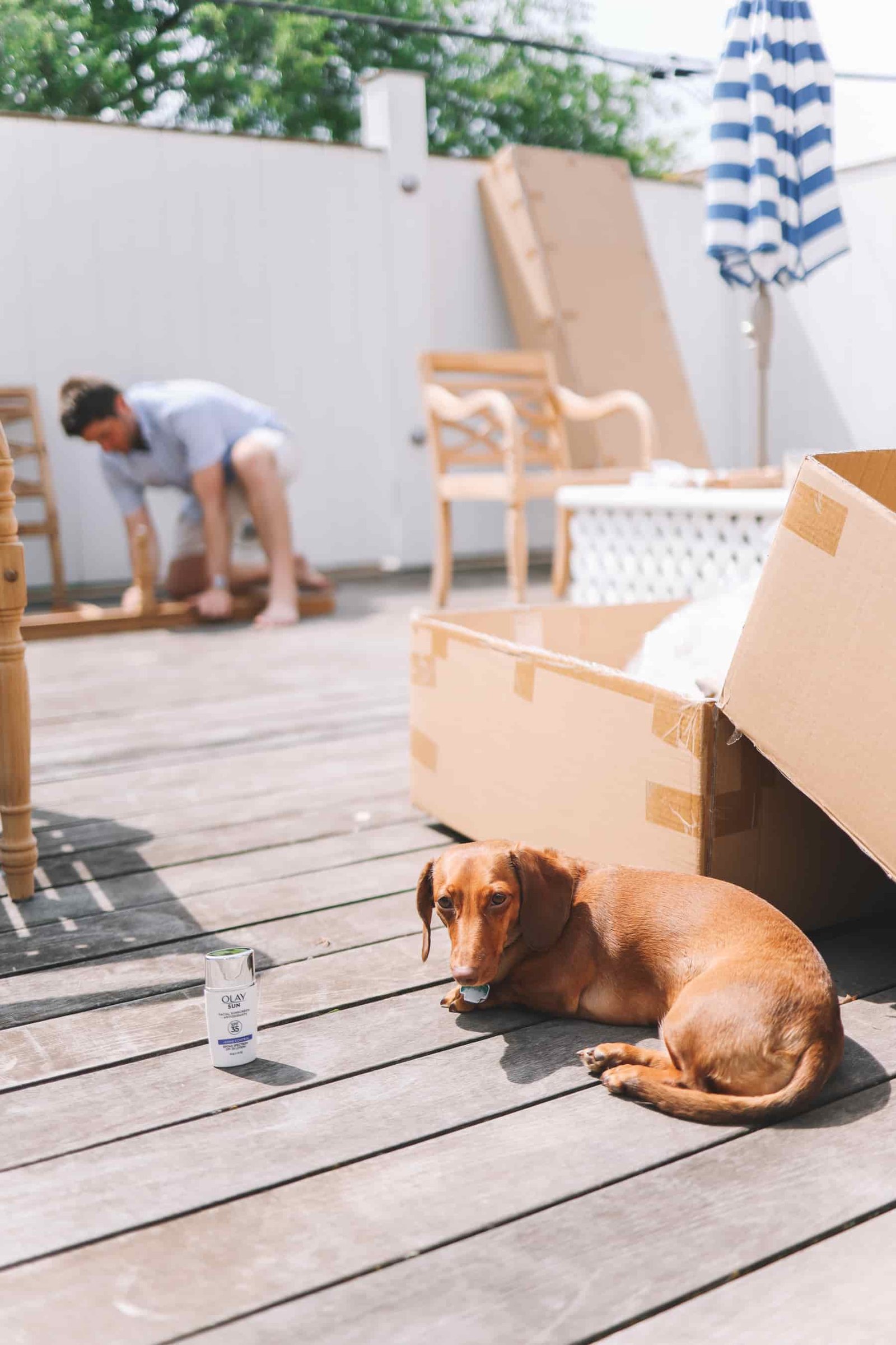 Preppy Deck in Progress - Noodle and Olay