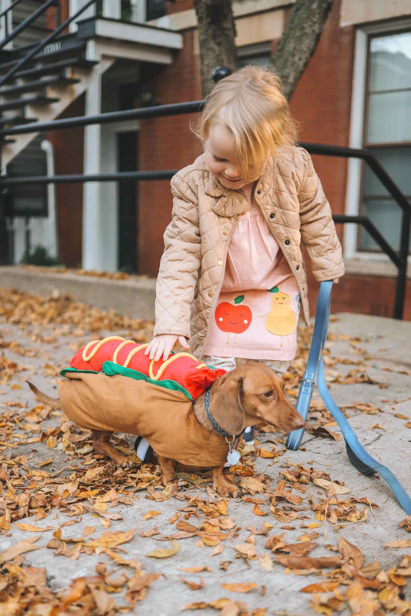 hotdog costume