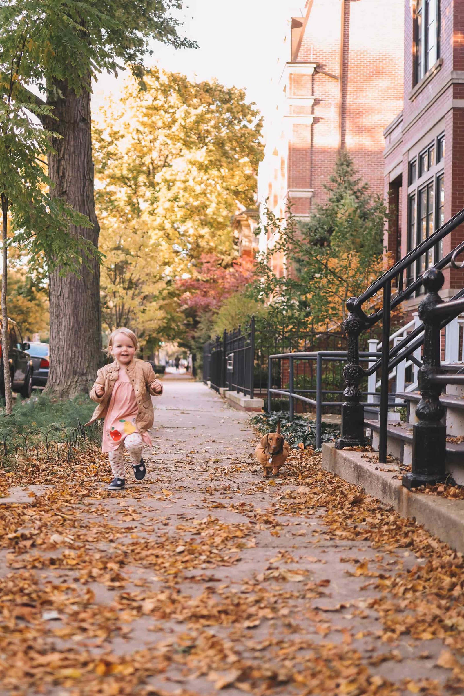 child and dog