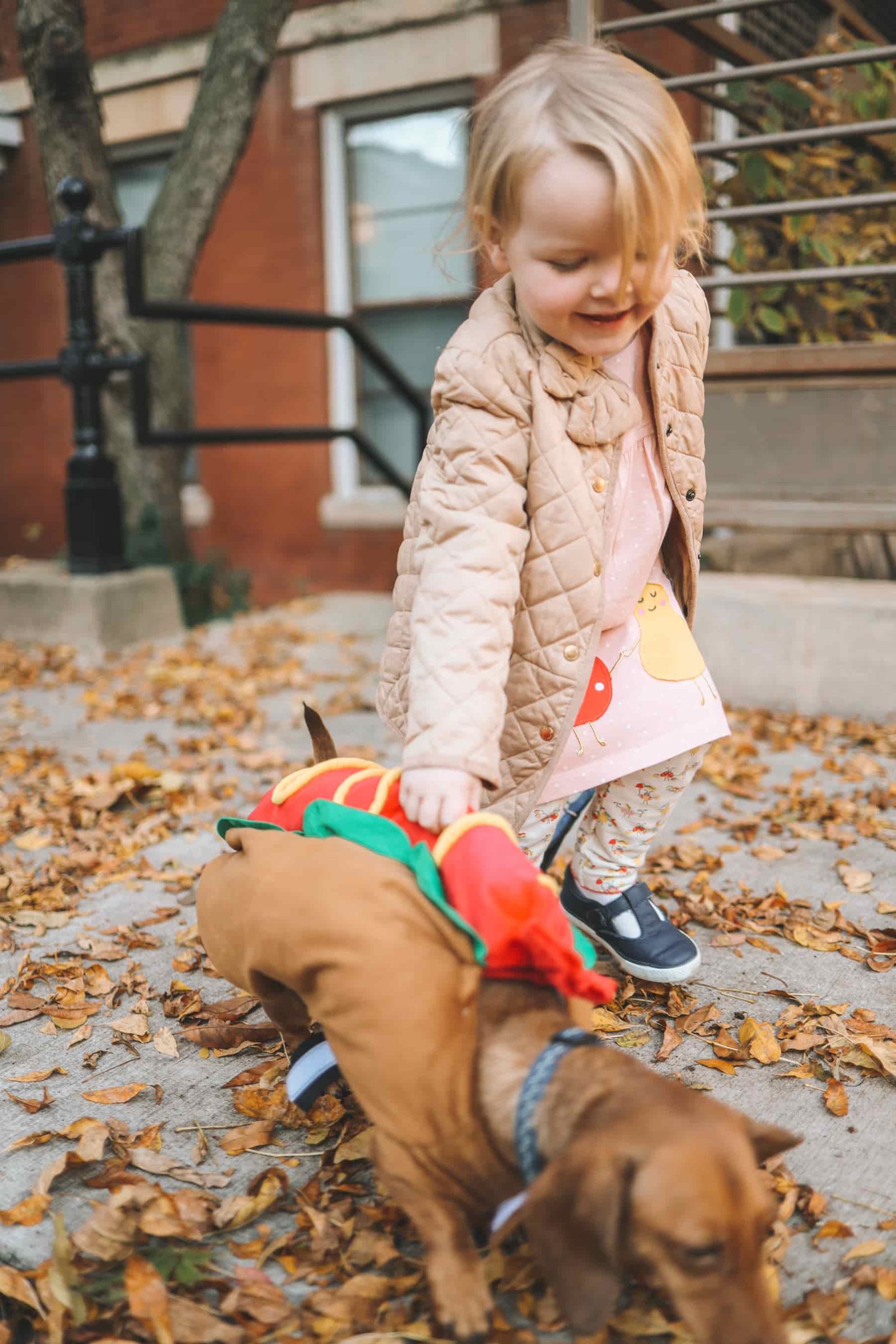hotdog costume