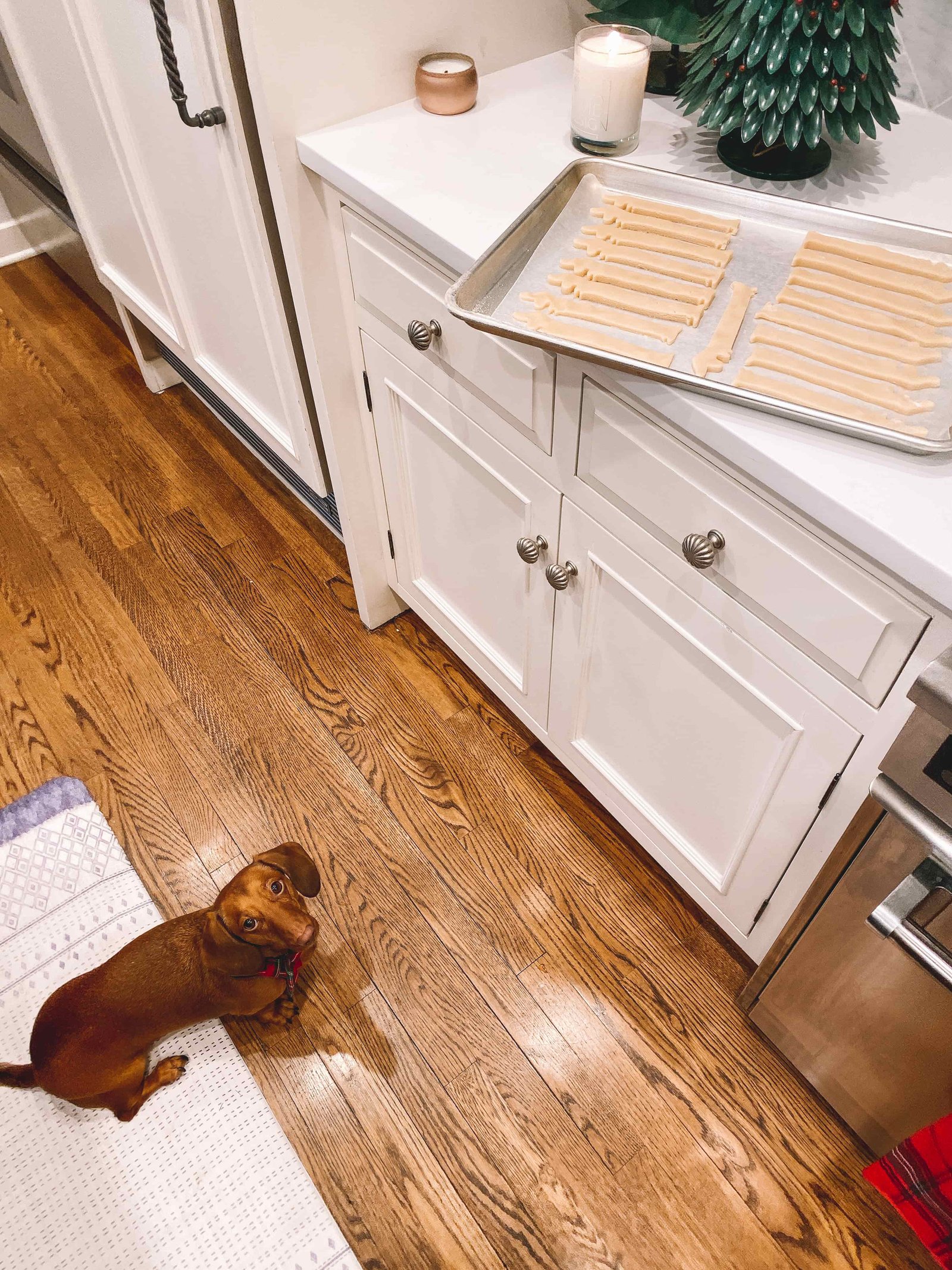 Dachshund Sugar Cookies recipe Dachshund Sugar Cookies recipe