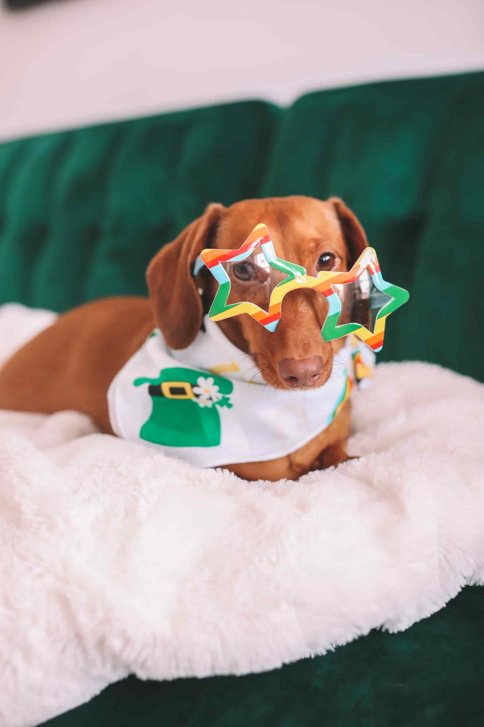 Happy Saint Patrick's Day