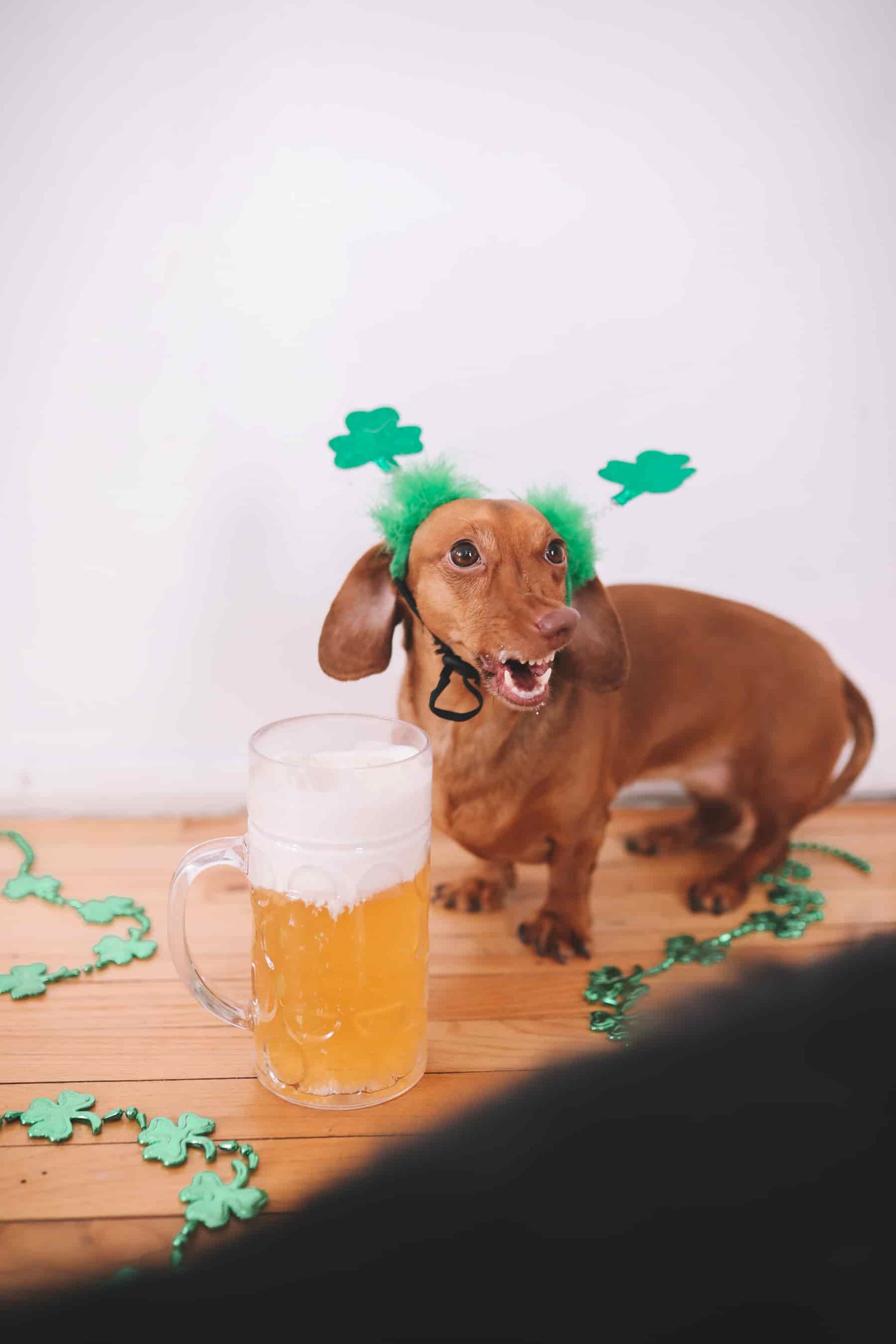 Happy Saint Patrick's Day