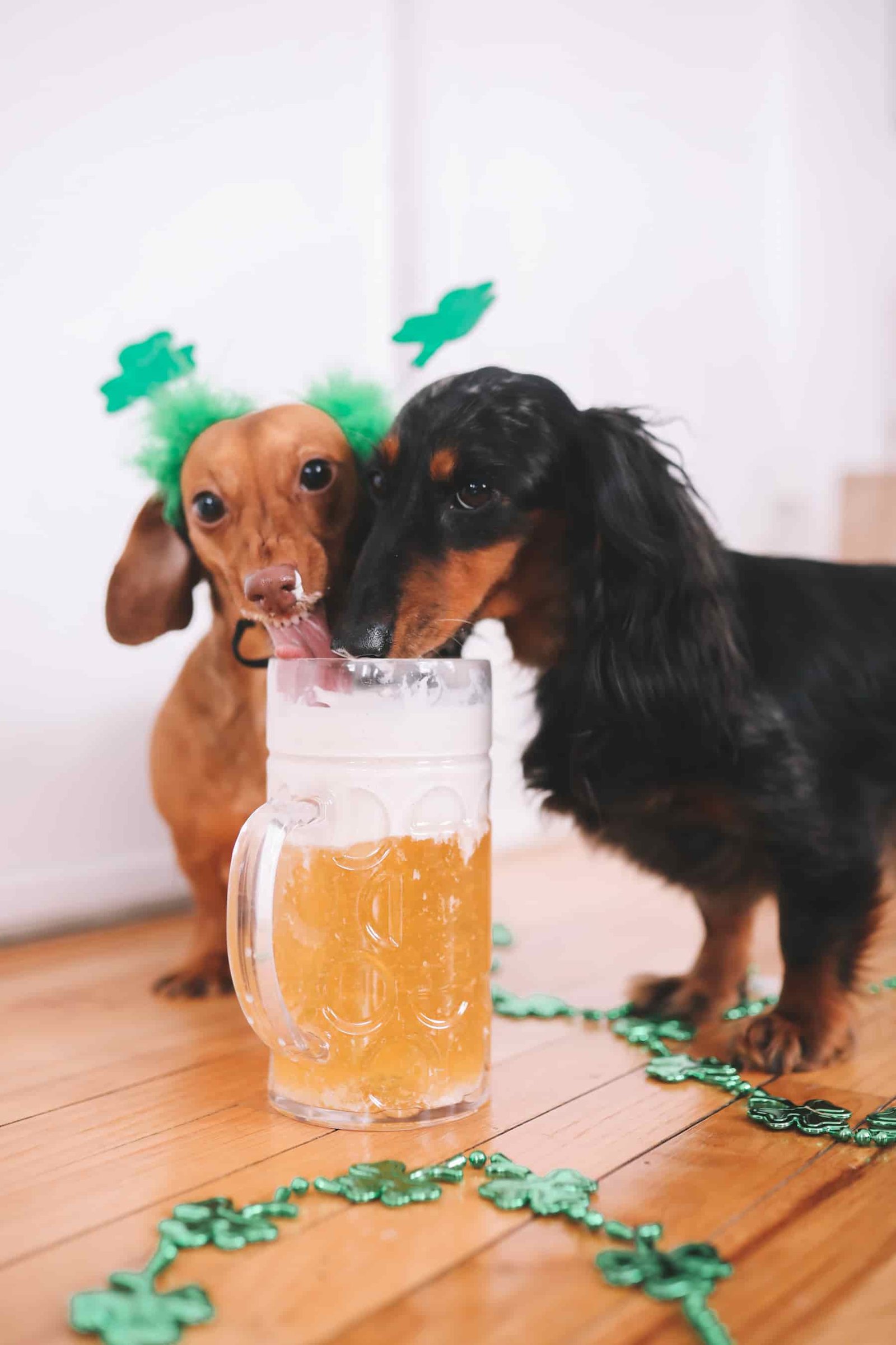 Happy Saint Patrick's Day