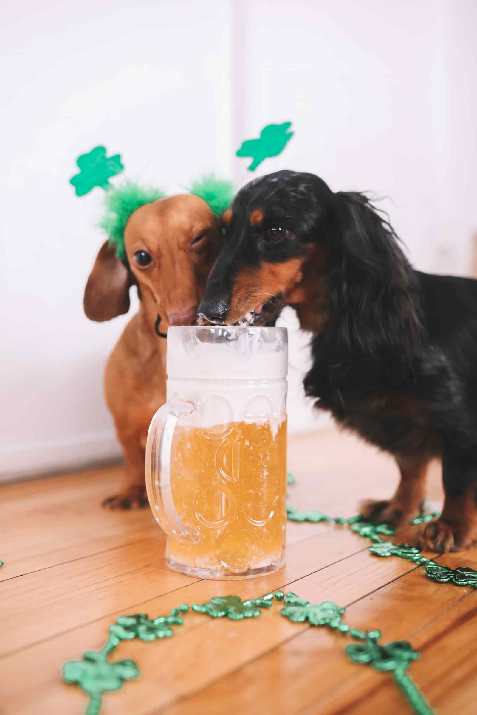 Happy Saint Patrick's Day