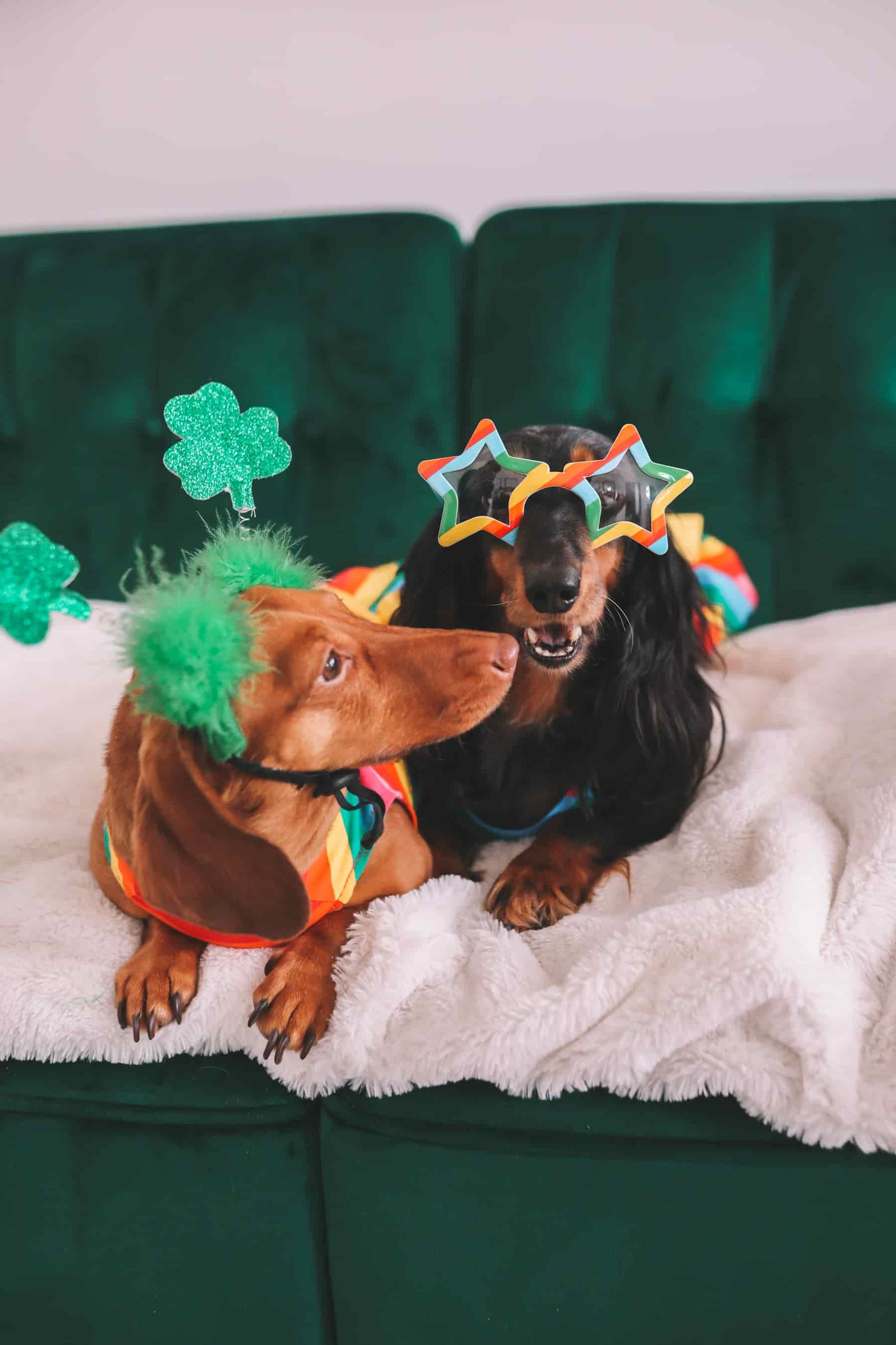 Happy Saint Patrick's Day