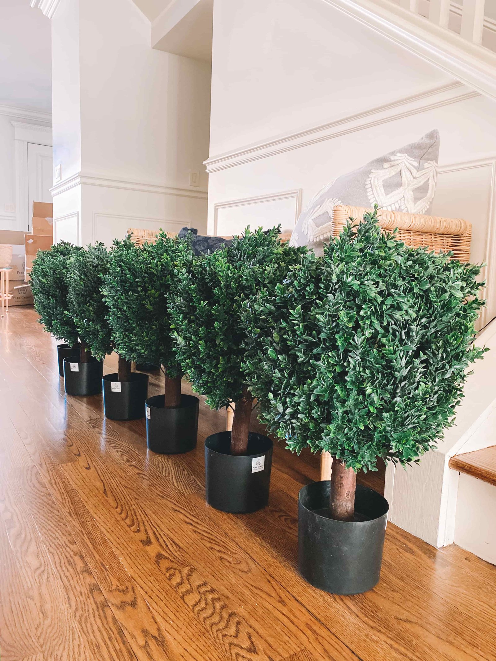 Awesome Faux Boxwoods - Minimal in the City