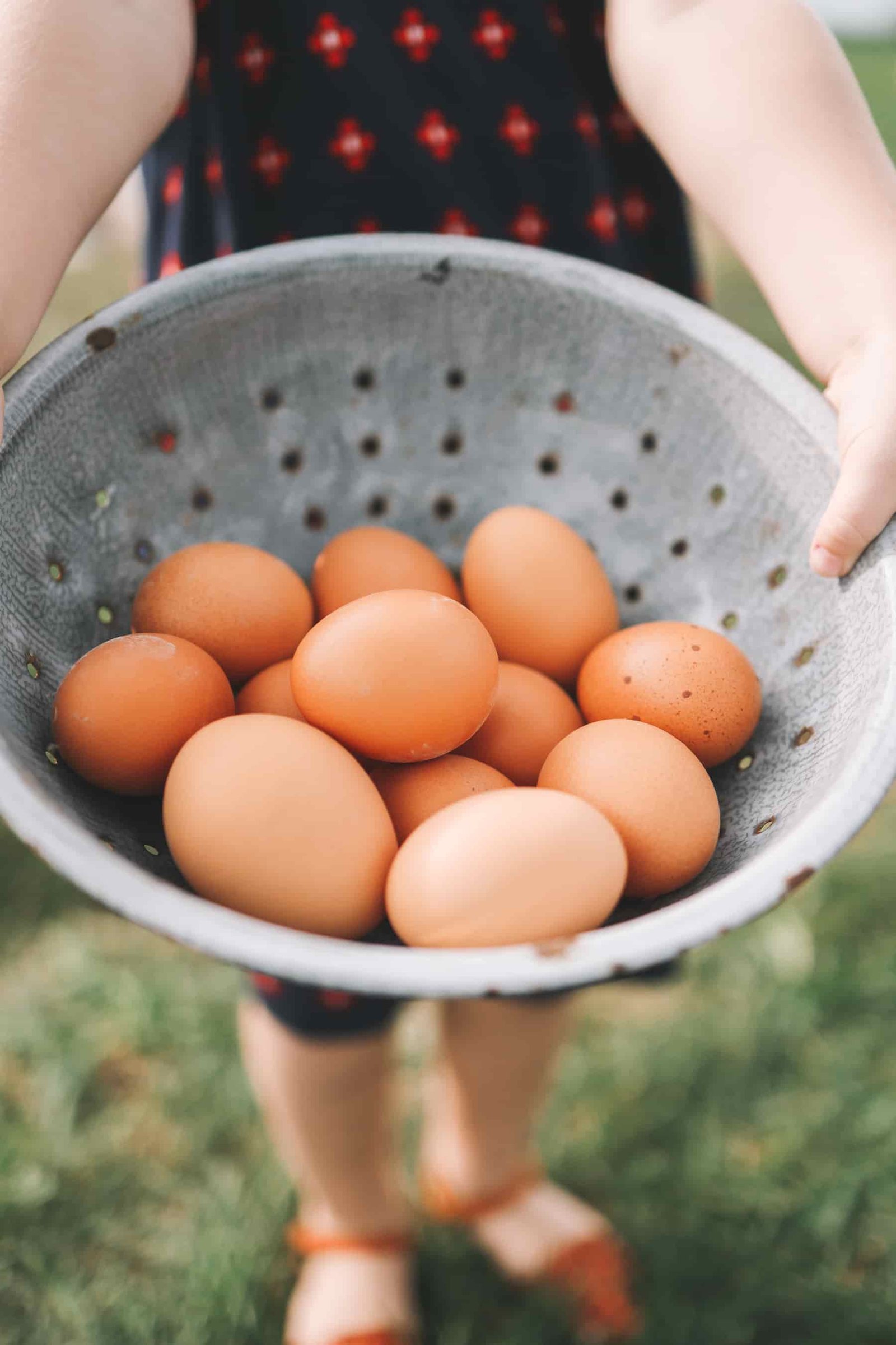 above normal eggs