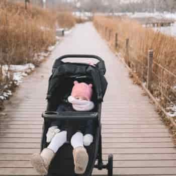 A Walk Through Lincoln Park, Vol. 2