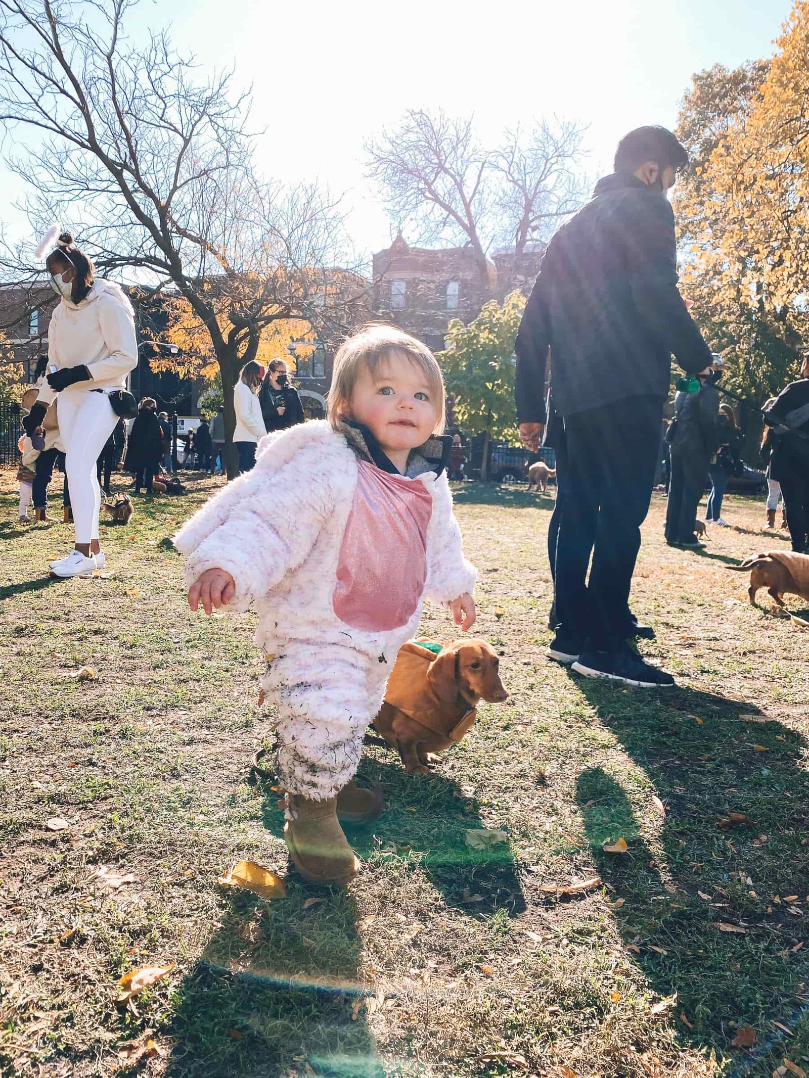 wicker park chicago wicker park chicago | Chicago Halloweenie Walk