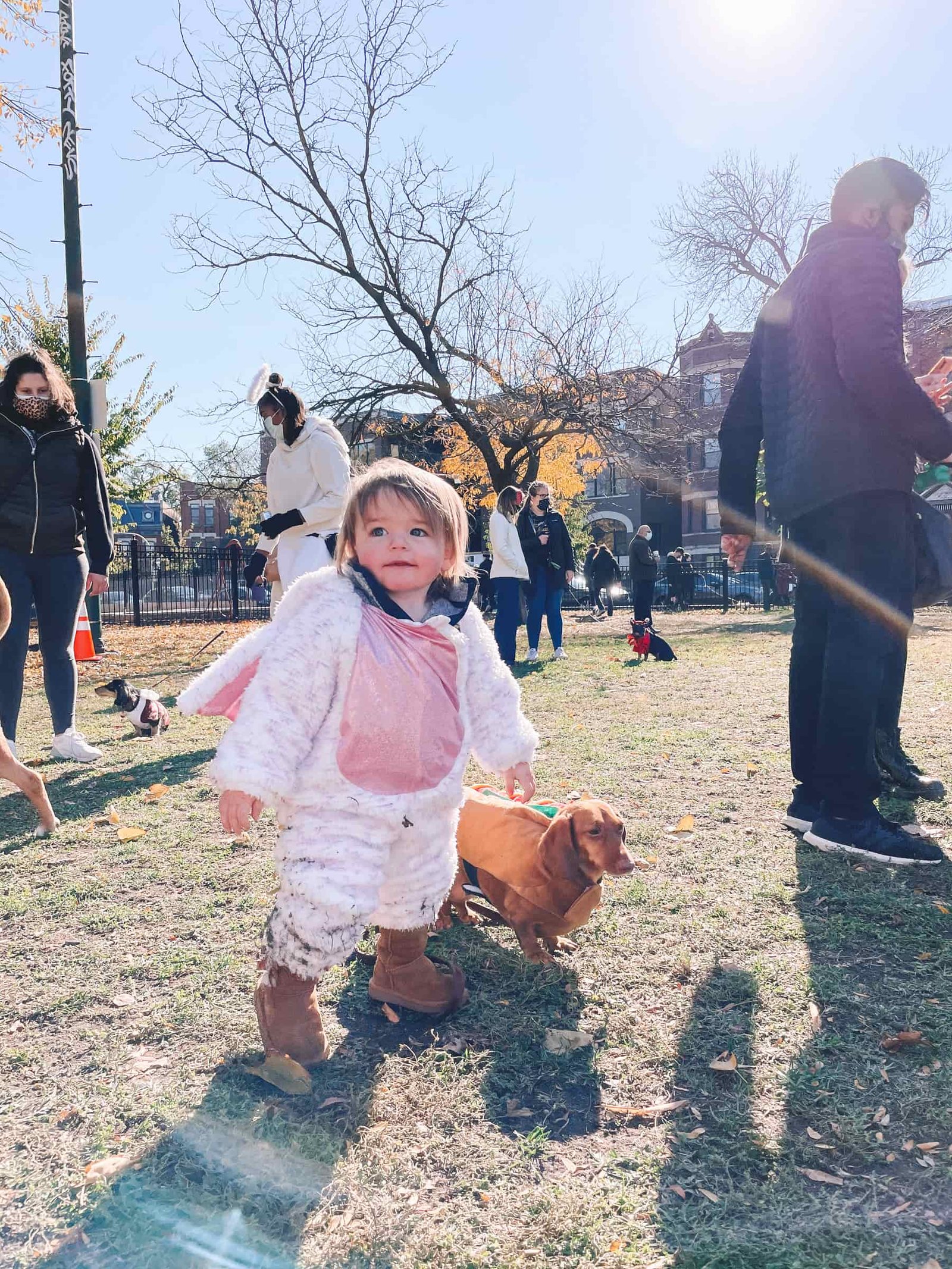 wicker park chicago walk wicker park chicago | Chicago Halloweenie Walk