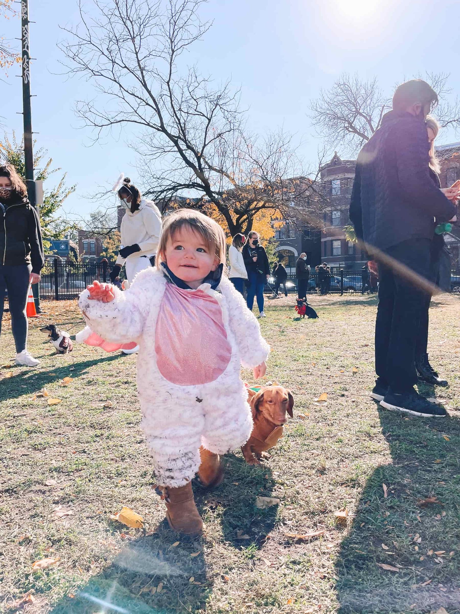 baby halloween costume baby halloween costume | Chicago Halloweenie Walk