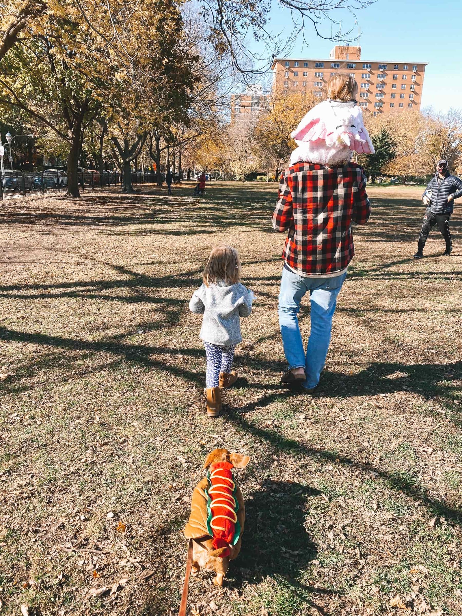 chicago park event for dogs chicago park event for dogs