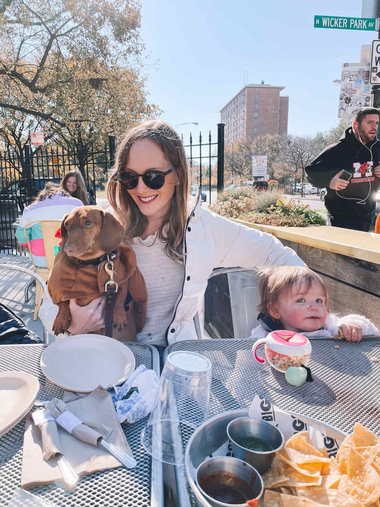family dachshund family and dachshund