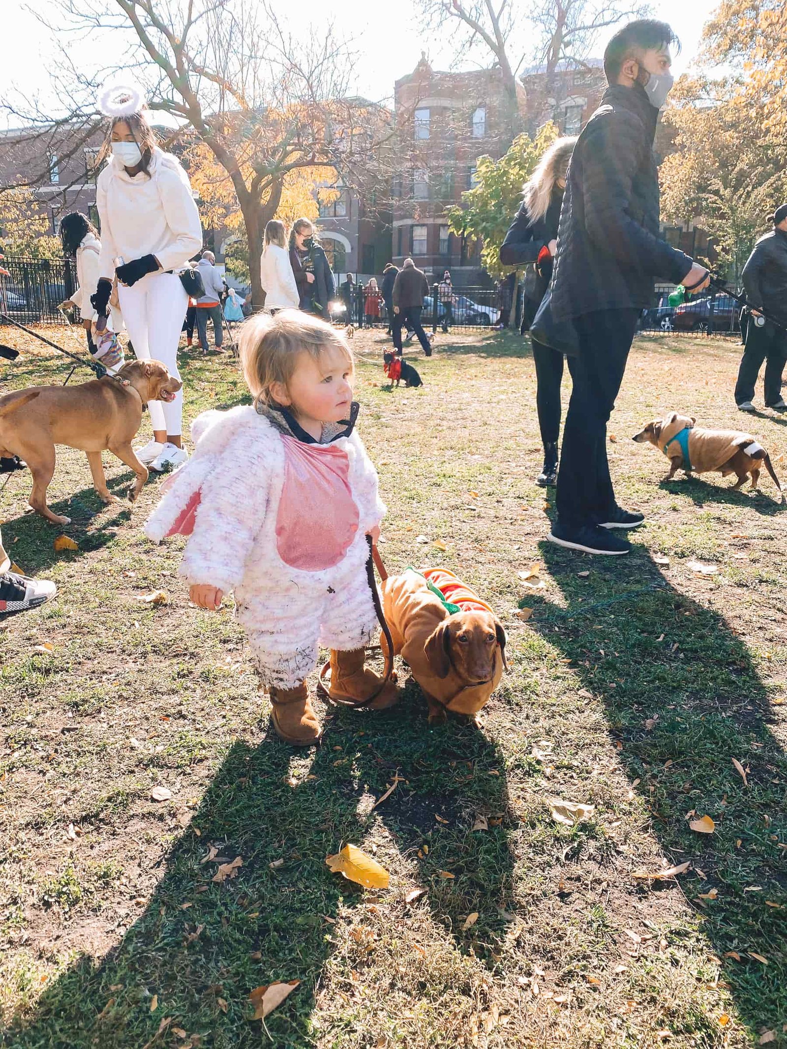 baby in unicorn costume baby in unicorn costume | Chicago Halloweenie Walk