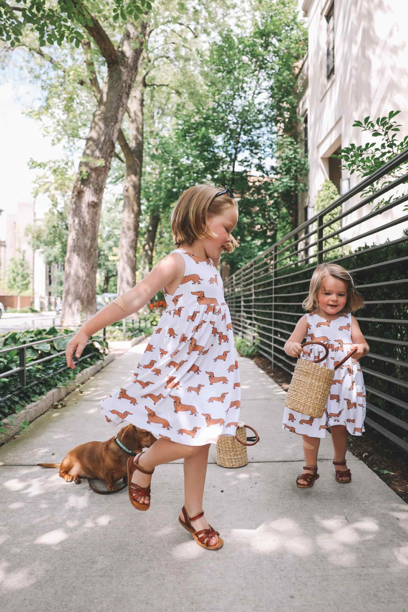 Dachshund Dress Little Girls Dachshund Dresses