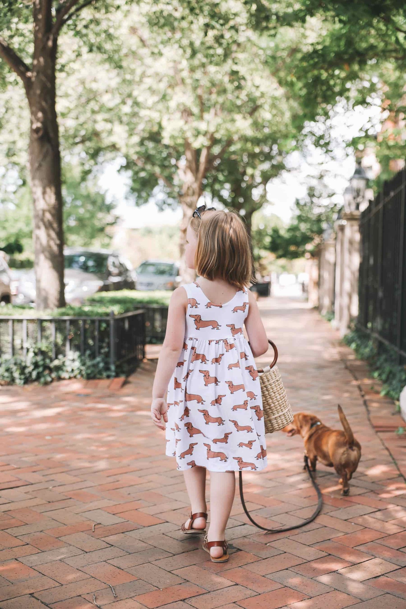 Girls Dachshund Dresses Little Girls Dachshund Dresses