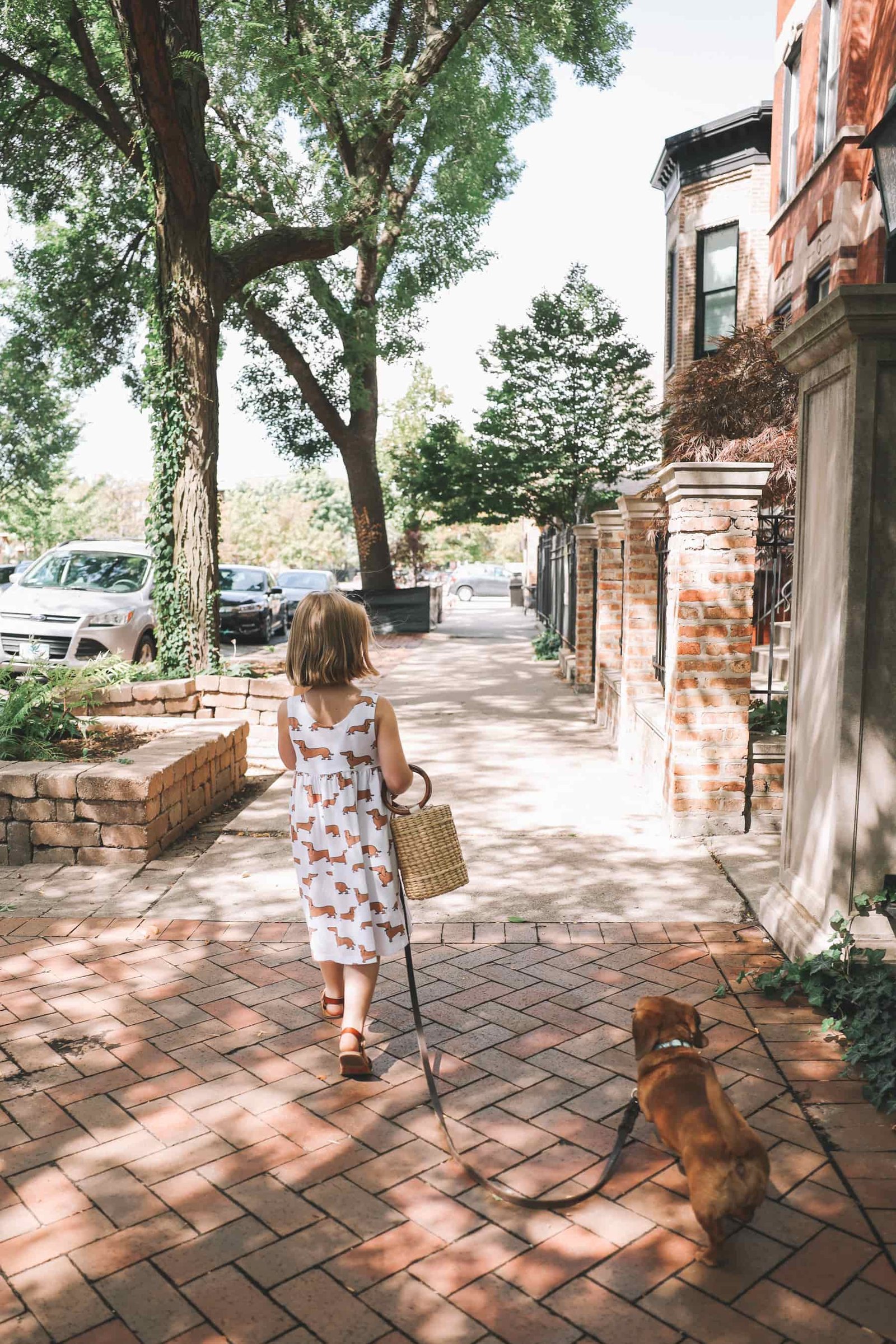 dachshund dress etsy dachshund dress etsy