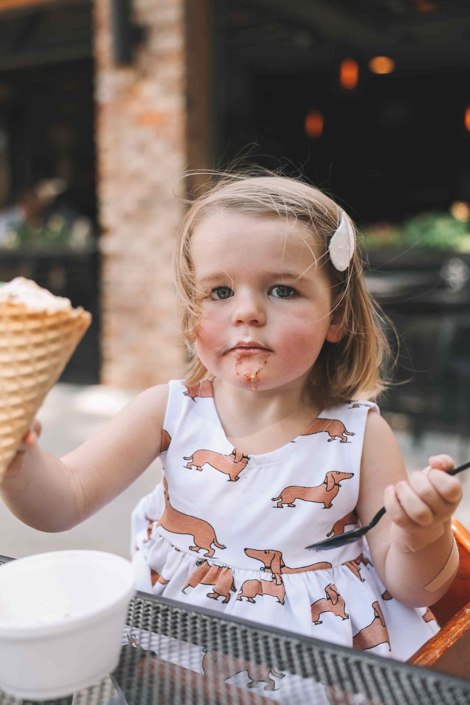 Dachshund Dress for kids Little Girls Dachshund Dresses