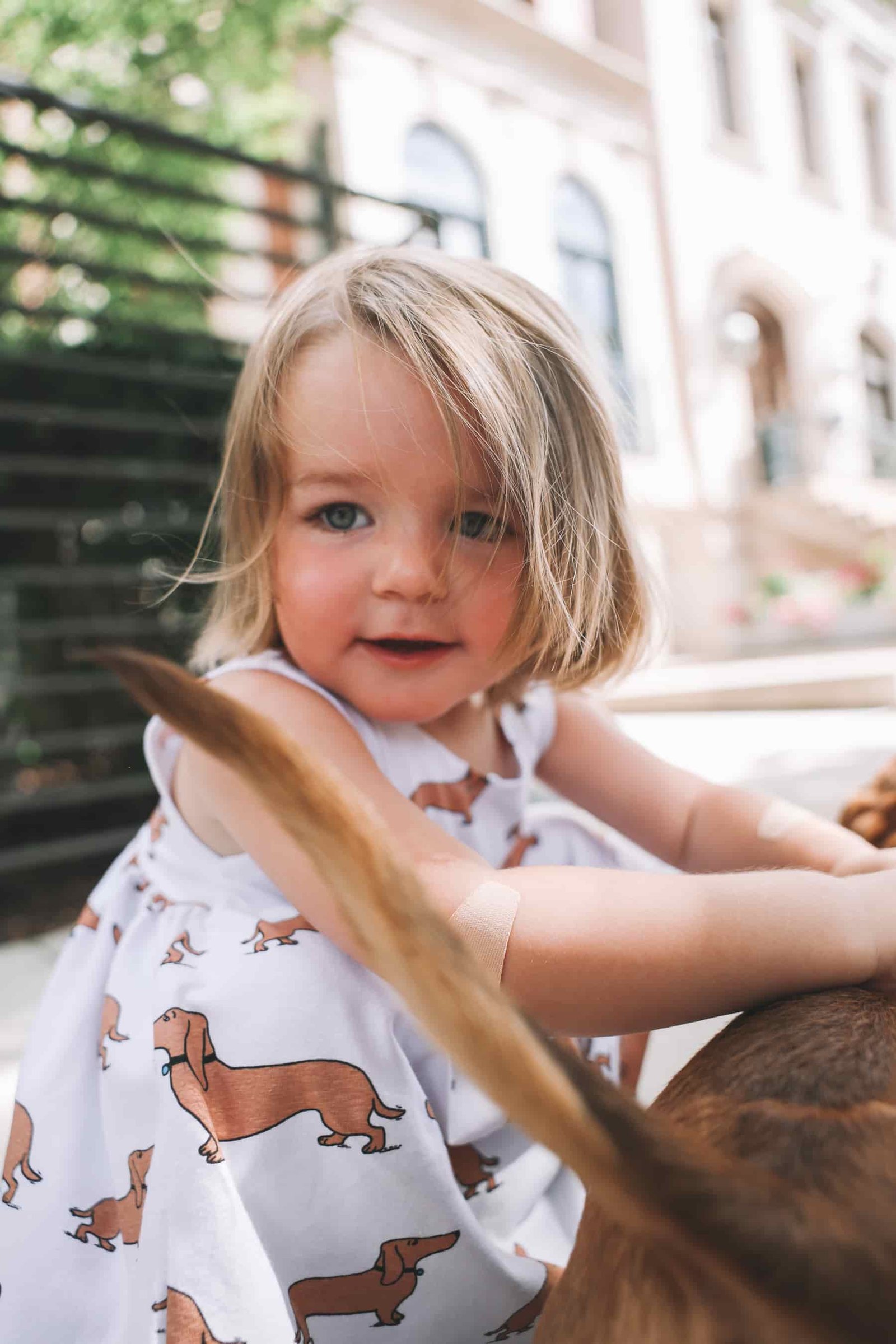 dachshund kids apparel dachshund kids apparel
