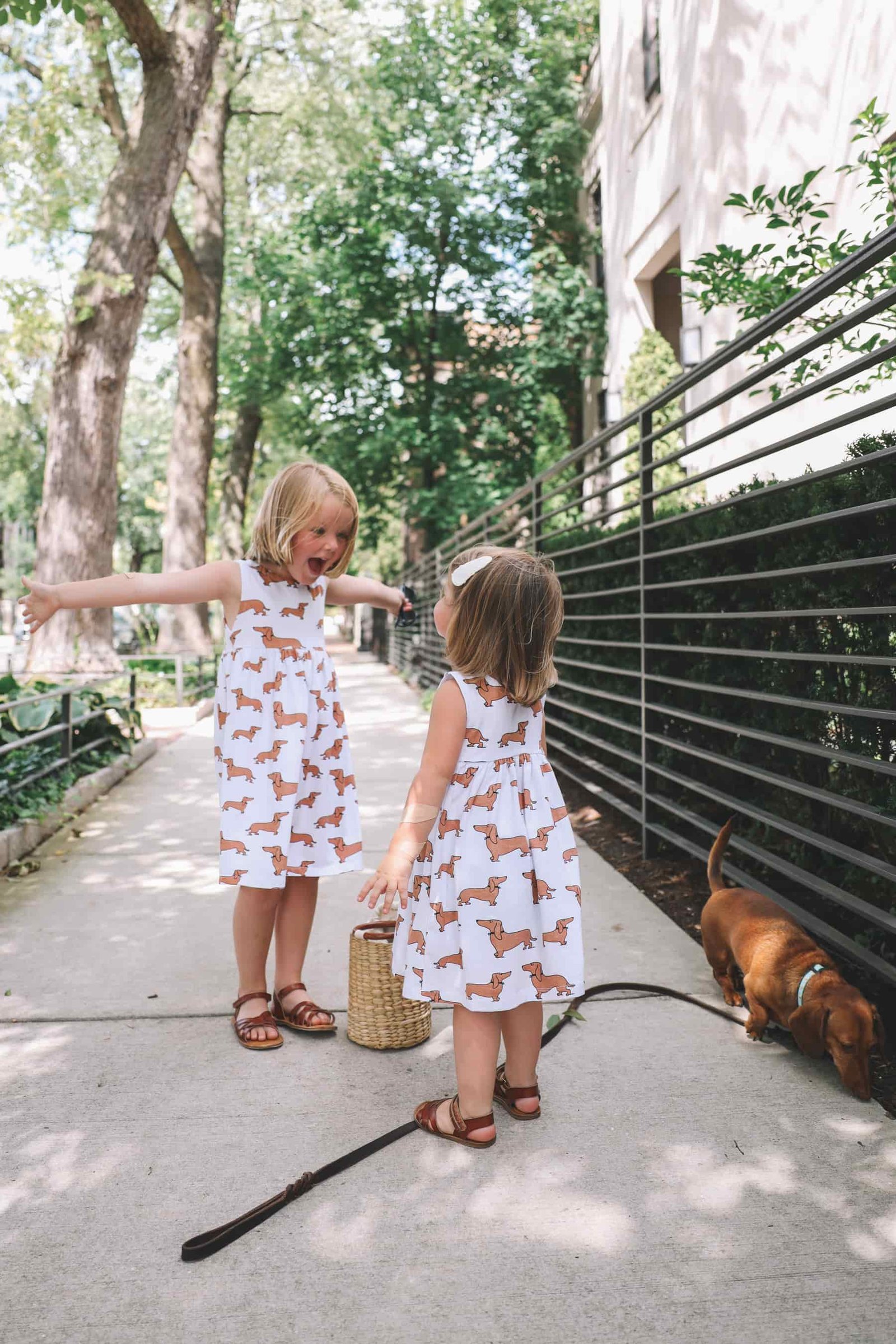 Little Girls Dachshund Little Girls Dachshund Dresses