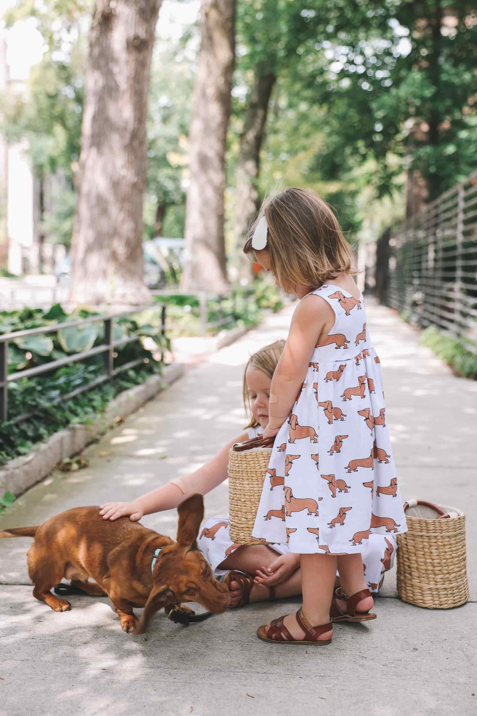 Summer dog print clothes Summer dog print clothes