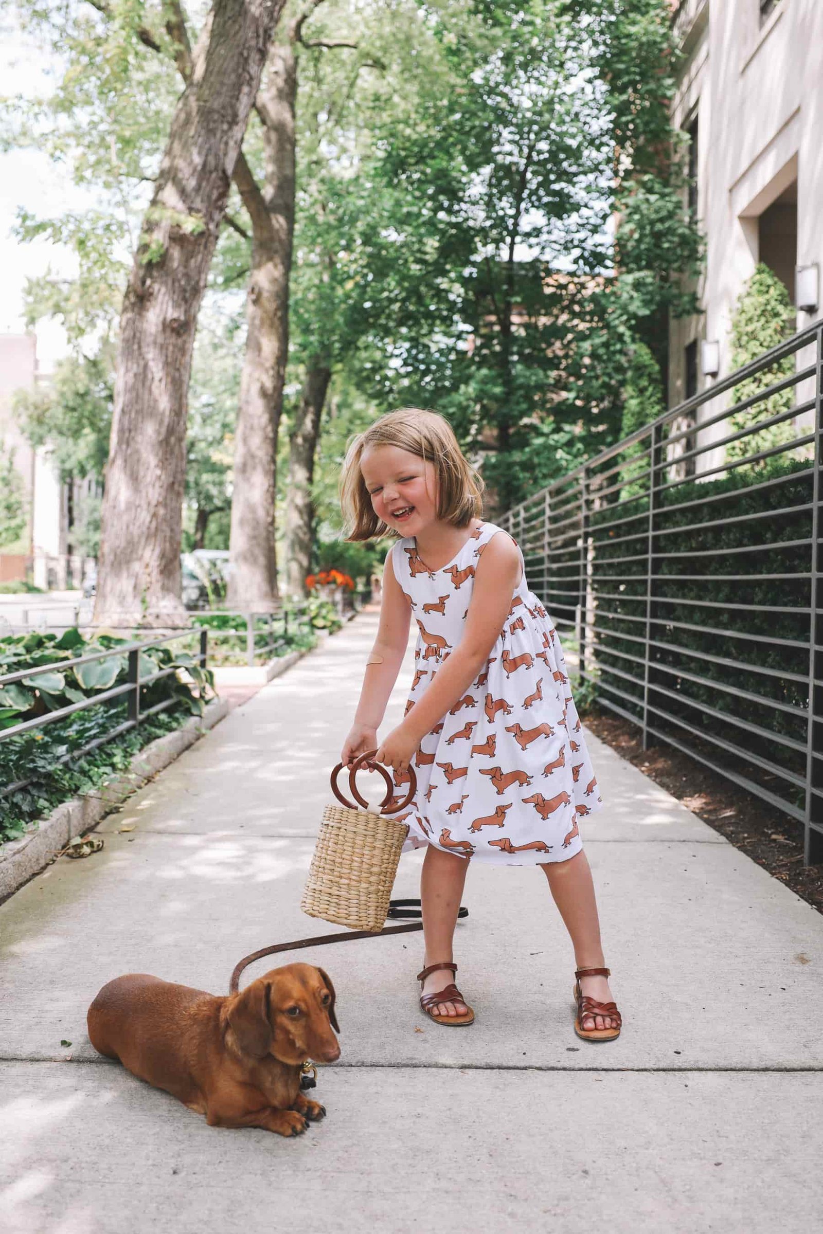 dachshund print clothes dachshund print clothes