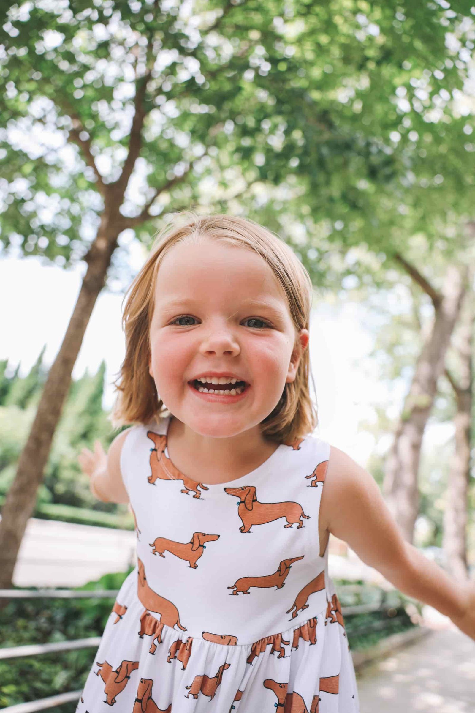 Where to buy Dachshund Dresses Where to buy Dachshund Dresses