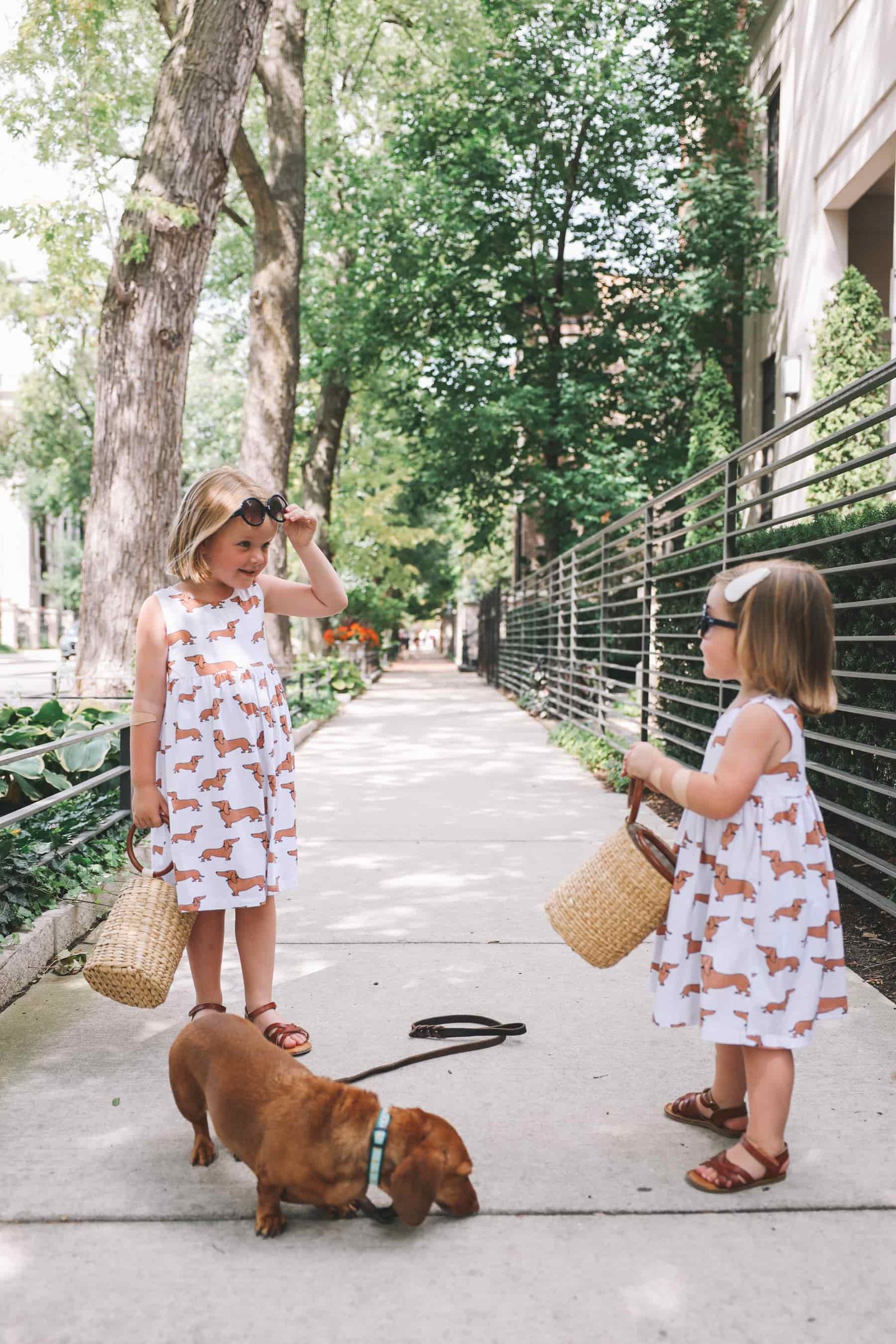 dachshund print dress dachshund print dress