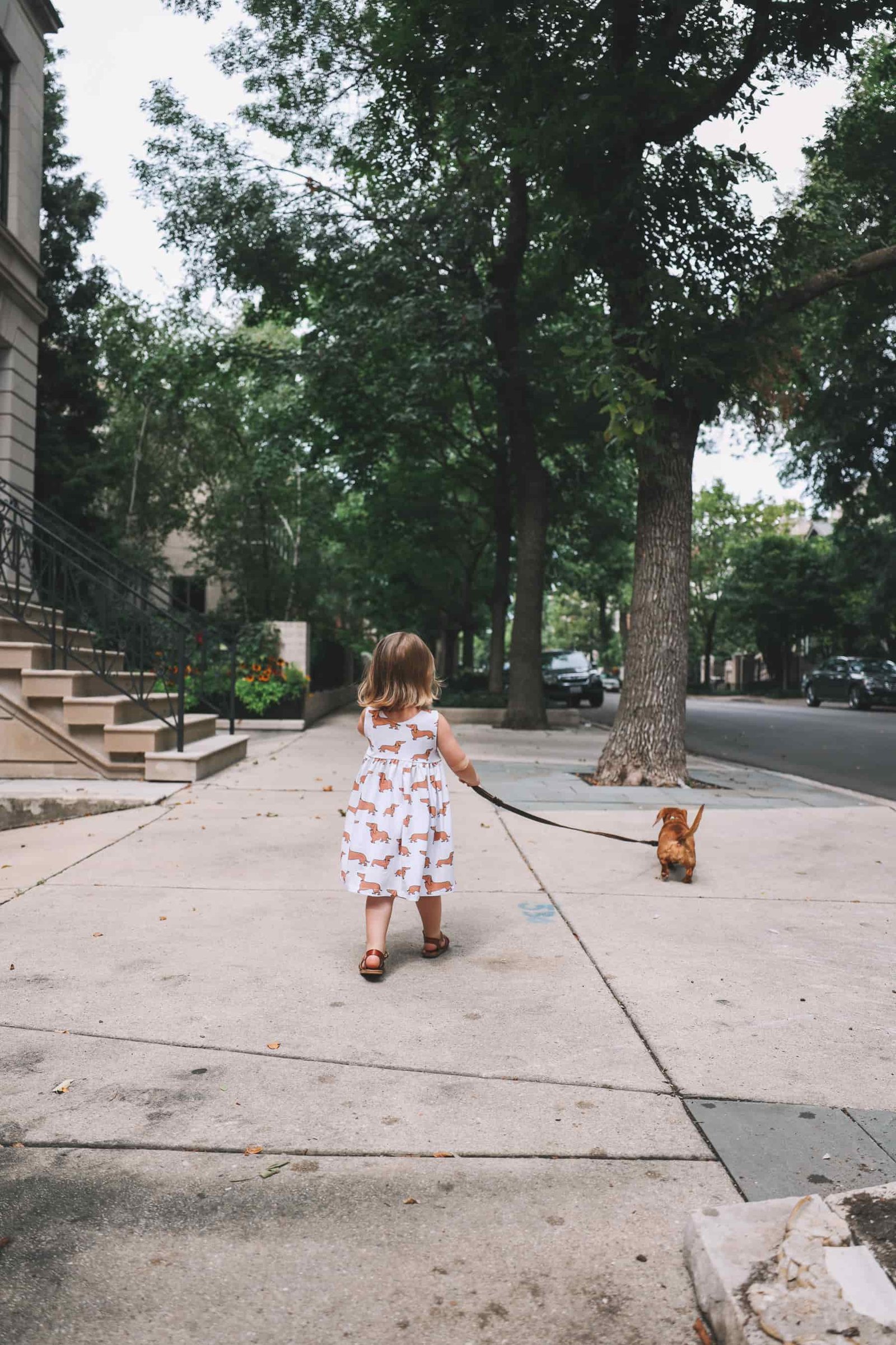 dachshund print apparel for girls dachshund print apparel for girls