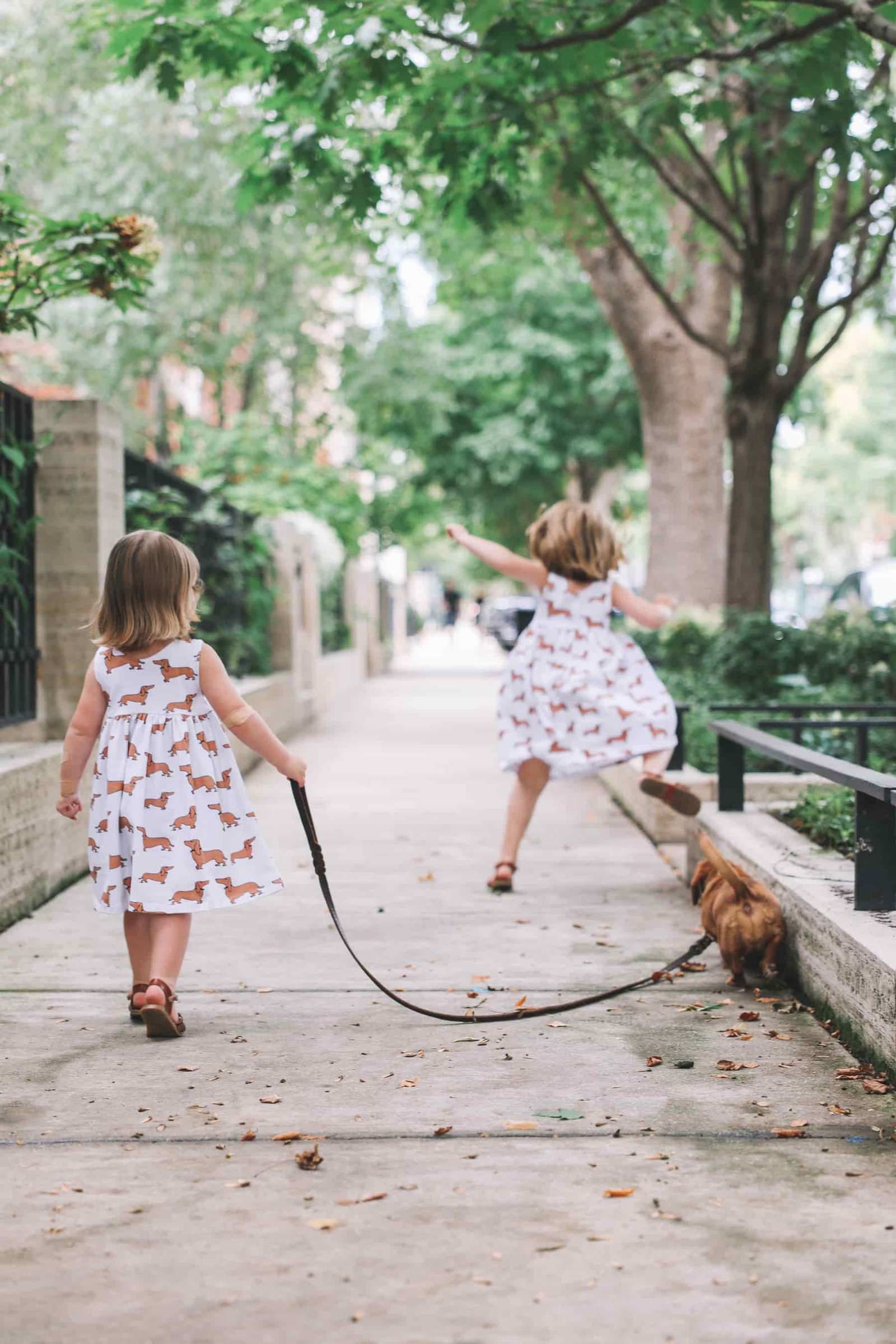 dachshund apparel for kids dachshund apparel for kids
