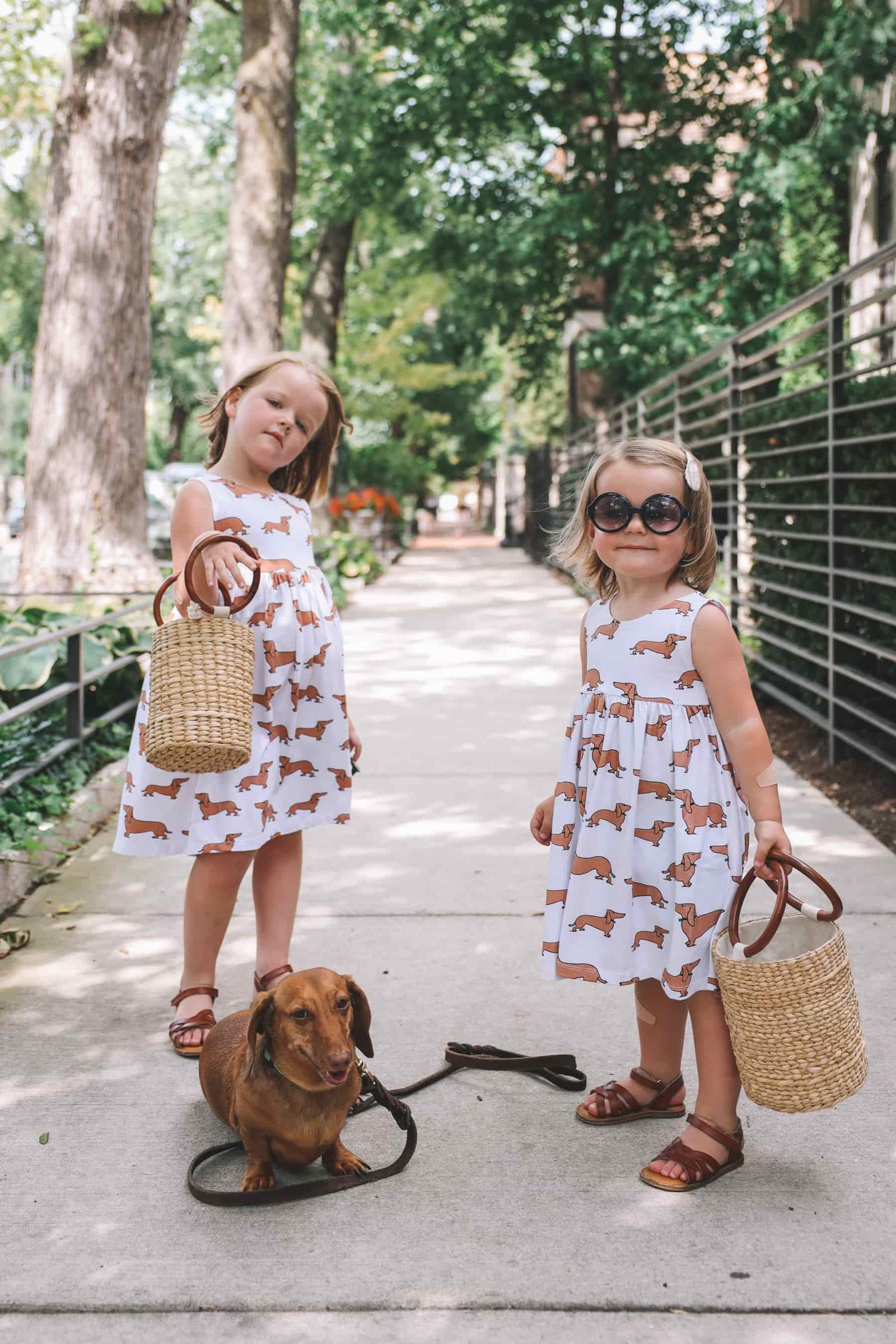 dachshund print dress etsy dachshund print dress etsy