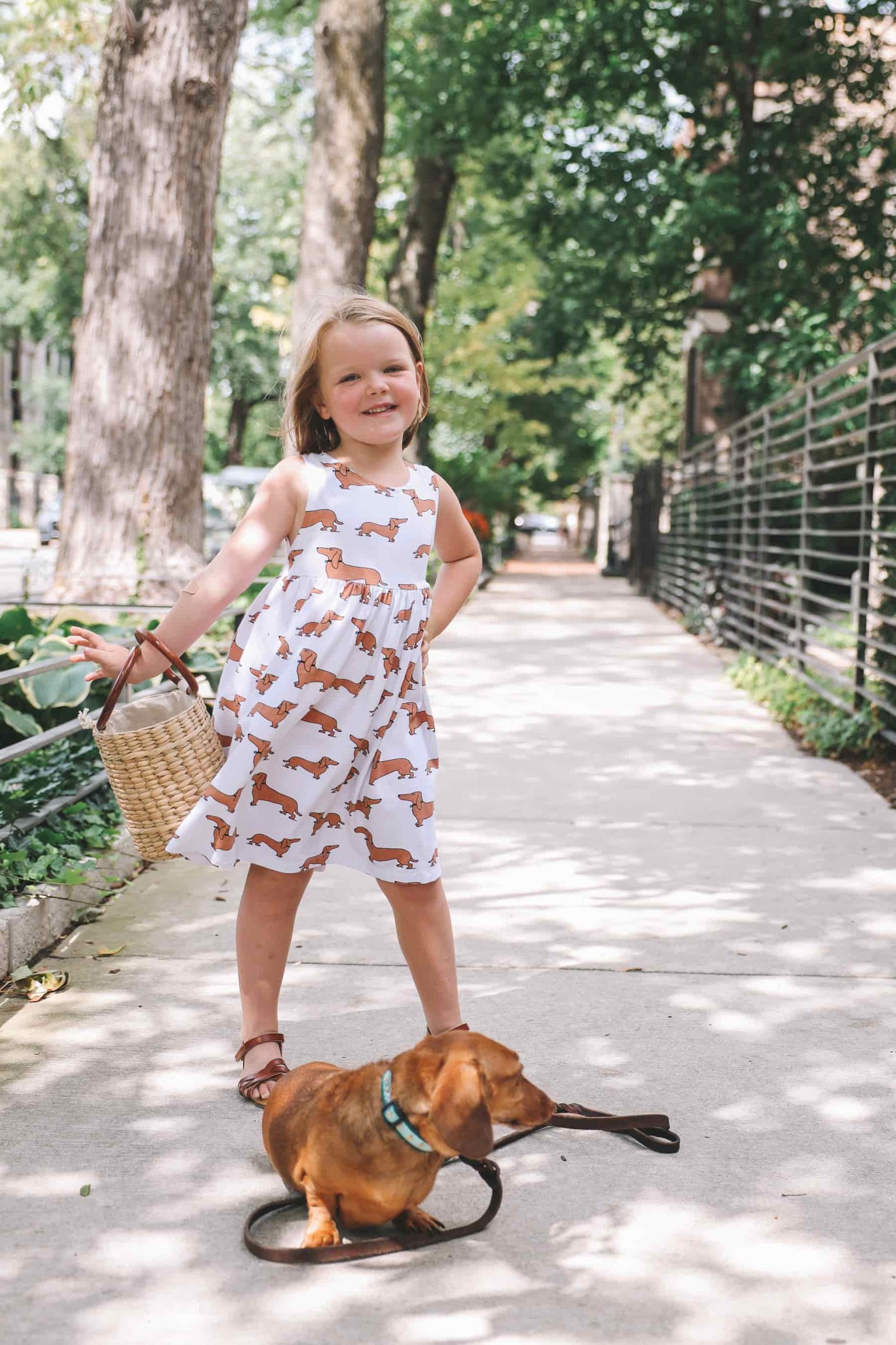weiner dog clothes weiner dog clothes