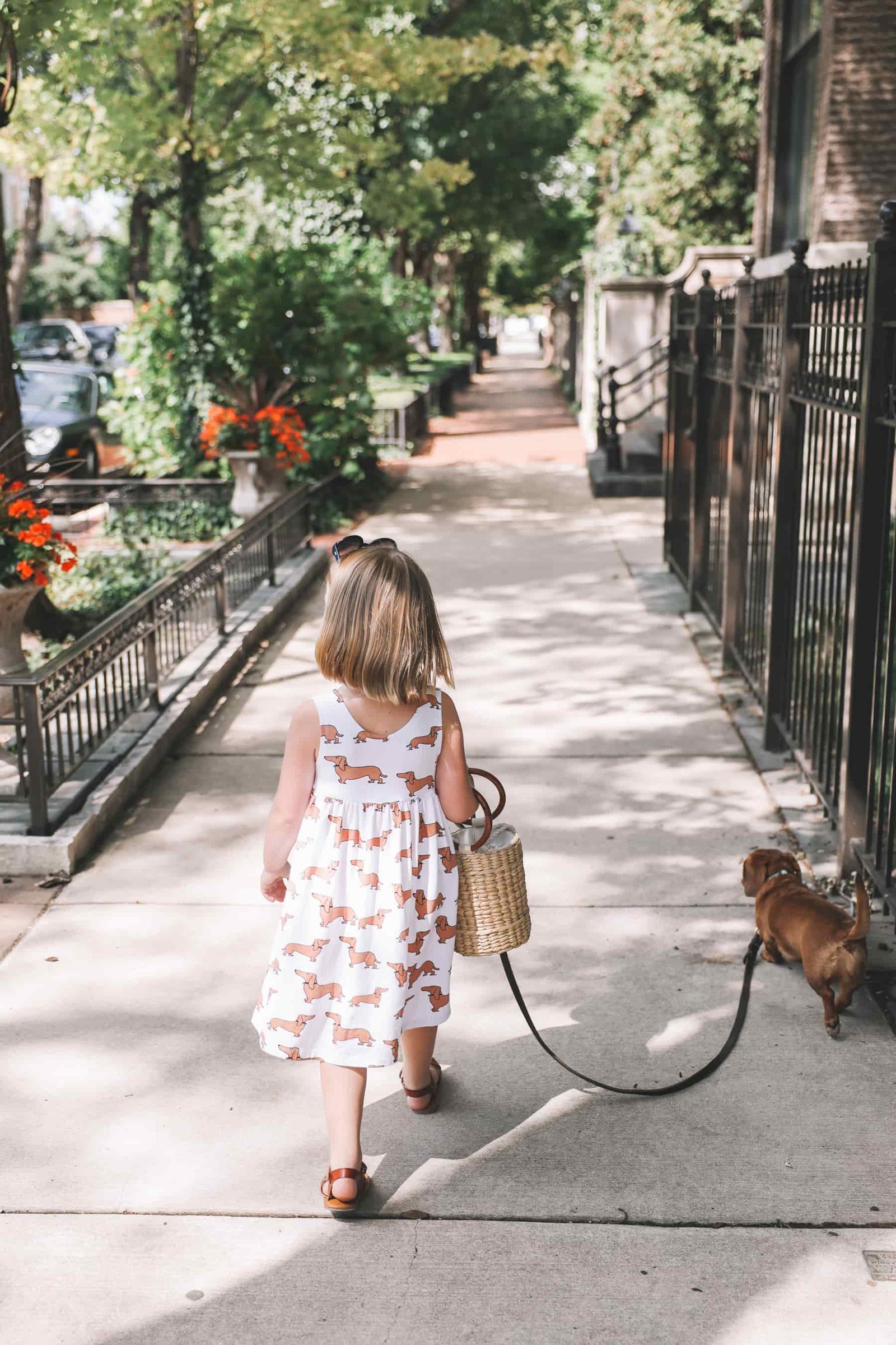 Dachshund Dresses Little Girls Dachshund Dresses