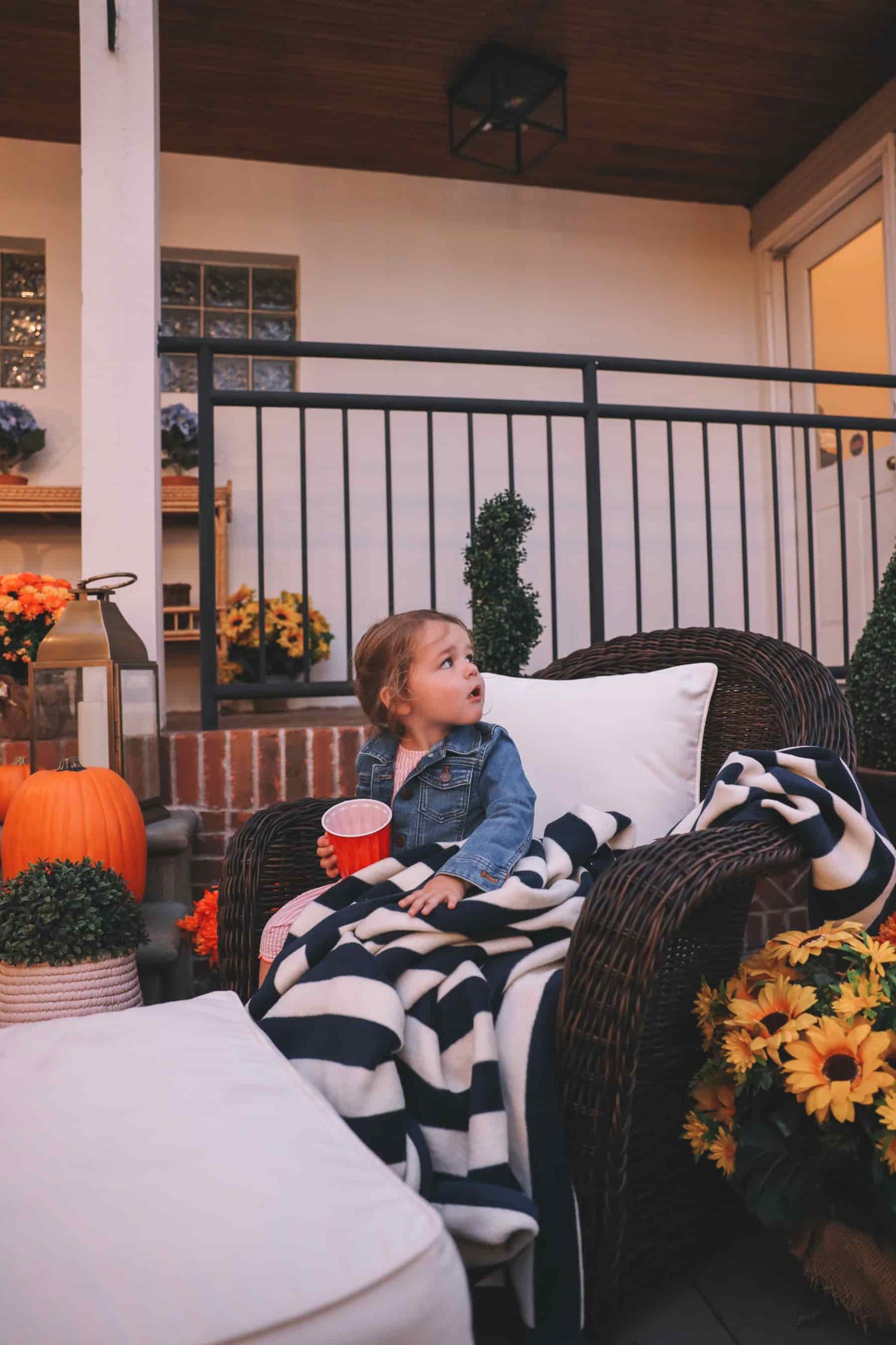 at-home Outdoor theater at-home Outdoor theater essentials