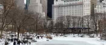 A Snow Day in New York City
