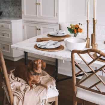 Fall Hosting with Birch Lane